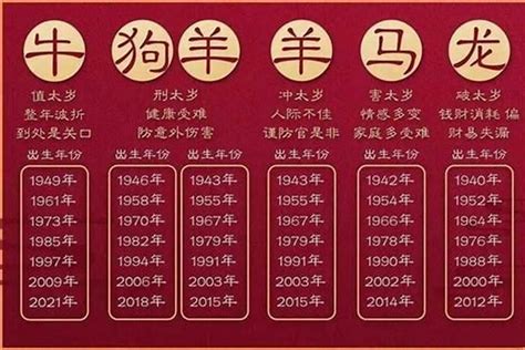 65年属什么